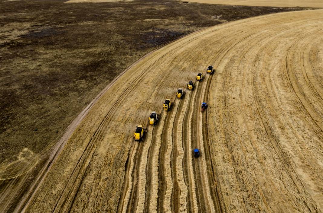 Konya’nın devasa tarlaları kuraklığa avantaj sağladı! Verim şaşırttı 1
